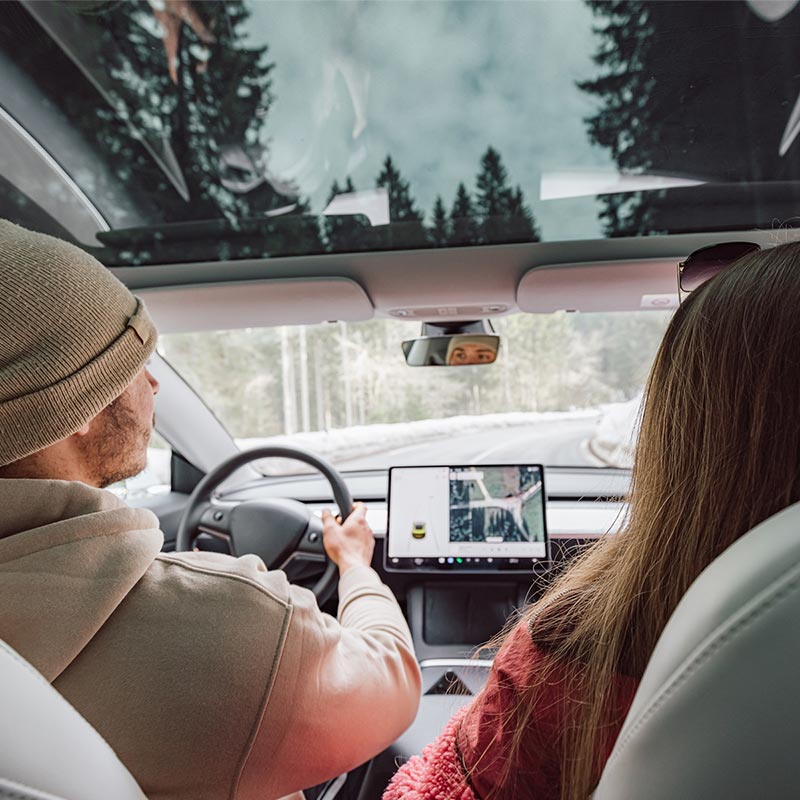 Descriptive text for image